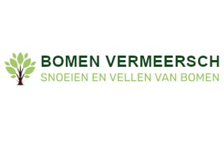 bomen-vlaanderen-vermeersch